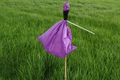 Nicht schön aber selten