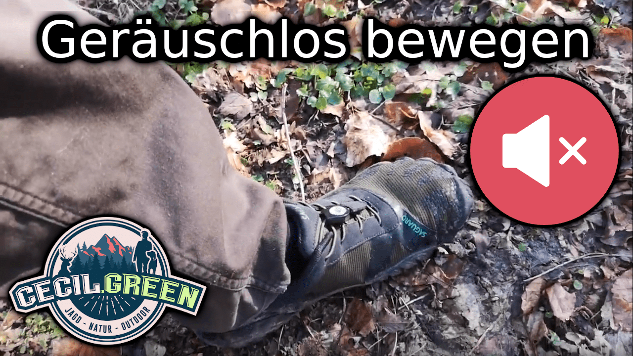 Barfußschuh, Wald, Pirschen, natur
